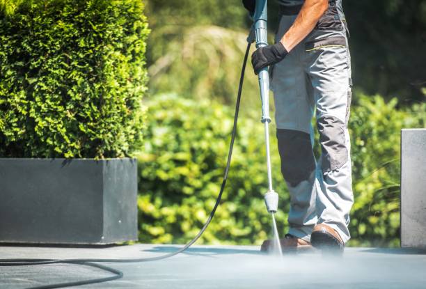 Best Roof Washing  in Oak Park, CA