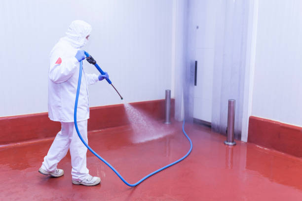 Best Boat and Dock Cleaning  in Oak Park, CA